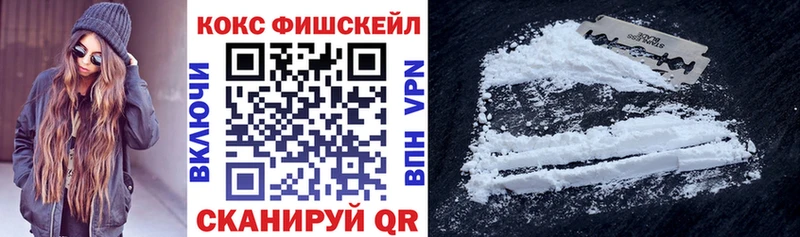 Кокаин Fish Scale  Купить закладки  Кудымкар 