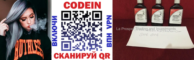 Купить закладки  Кудымкар  Codein Purple Drank 