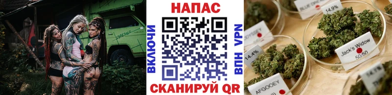 Конопля марихуана  Купить закладки  Кудымкар 